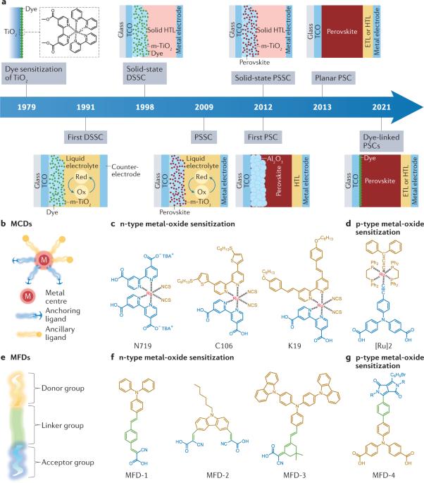 Molecular engineering of contact interfaces for high-performance perovskite solar cells