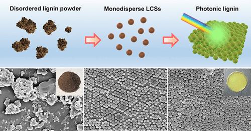 Photonic Lignin with Tunable and Stimuli-Responsive Structural Color