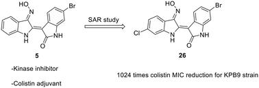 6-Bromoindirubin-3′-oxime derivatives are highly active colistin adjuvants against Klebsiella pneumoniae†