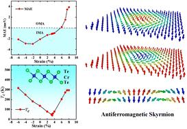 Strain-induced magnetic phase transition, magnetic anisotropy switching and bilayer antiferromagnetic skyrmions in van der Waals magnet CrTe2†