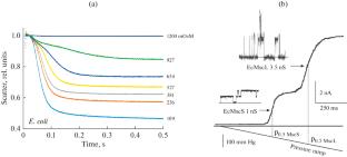 Mechanosensitive Channels: History, Diversity, and Mechanisms