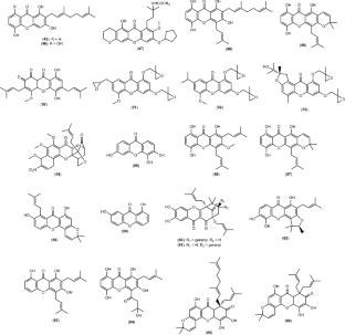 The mechanisms of action of prenylated xanthones against breast, colon, and lung cancers, and their potential application against drug resistance