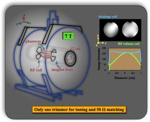 Double-crossed radiofrequency coil with improved uniformity for rodent MRI at 7 T