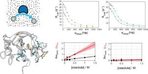 On the potentially spurious contributions of cosolutes in protein 15N relaxation dispersion measurements