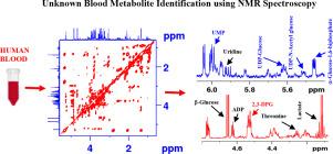 A new limit for blood metabolite analysis using 1H NMR spectroscopy