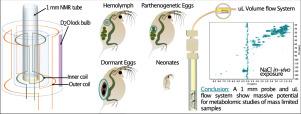 From hemolymph to in-vivo: The potential of a 1 mm microlitre flow probe with separate lock chamber for NMR metabolomics in mass limited environmental samples