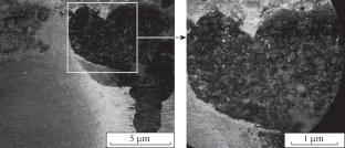 Research of Corrosion Cracking of D16T and Amg6 Aluminum Alloys Exposed to Microscopic Fungi