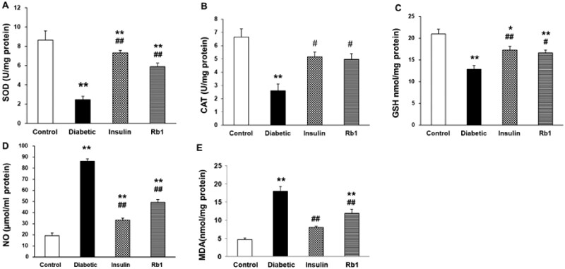 Ginsenoside Rb1 reduces oxidative/carbonyl stress damage and ameliorates inflammation in the lung of streptozotocin-induced diabetic rats.