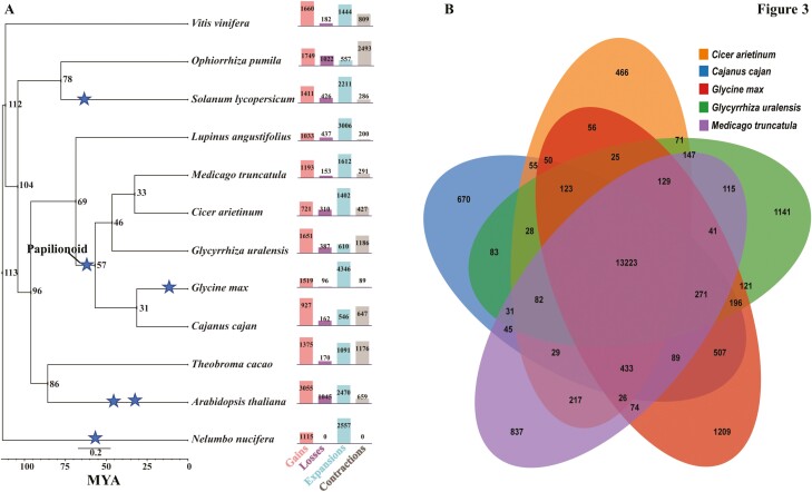 Chromosome-scale genome assembly of Glycyrrhiza uralensis revealed metabolic gene cluster centred specialized metabolites biosynthesis.