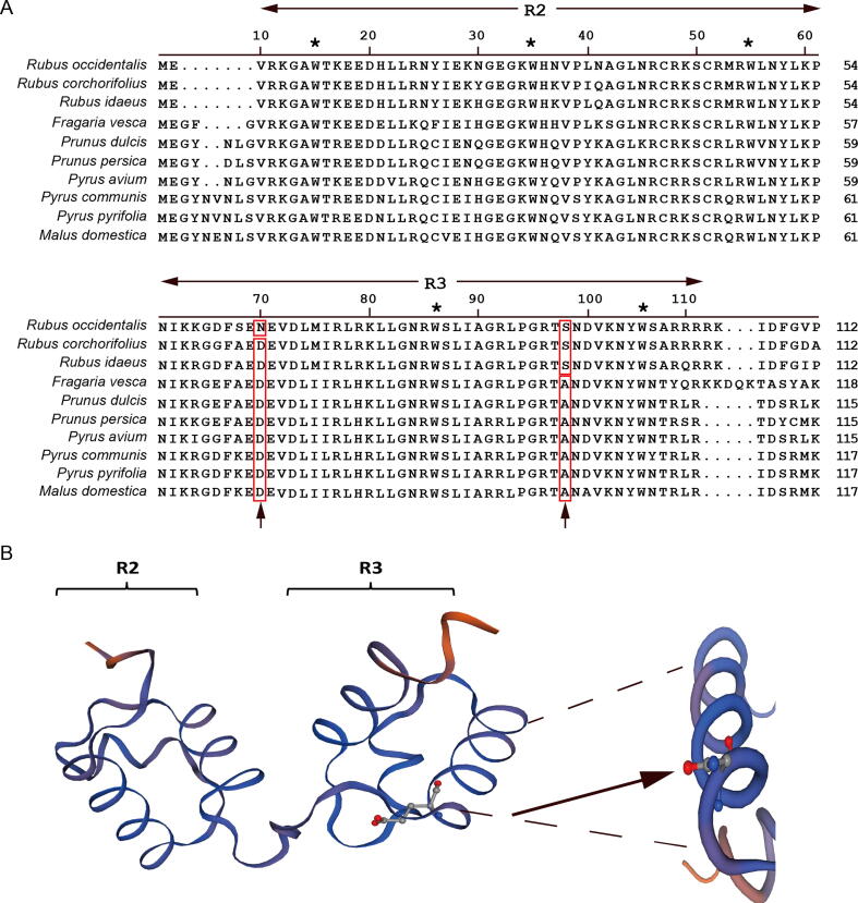 Genome Assembly and Population Resequencing Reveal the Geographical Divergence of Shanmei (Rubus corchorifolius)