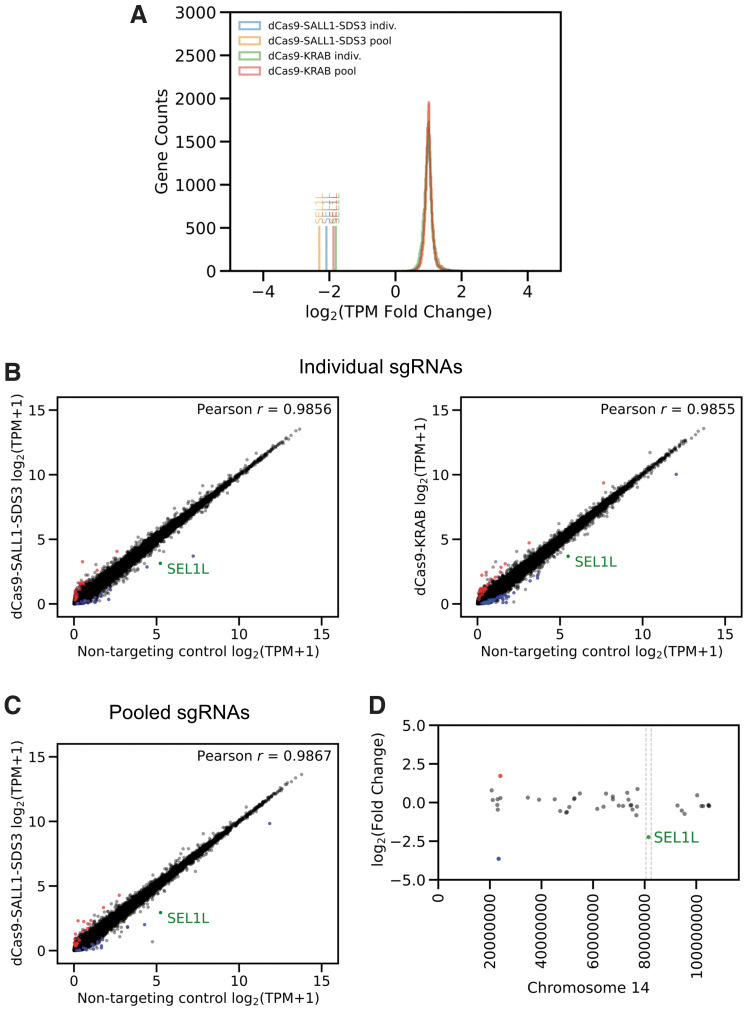 A Novel CRISPR Interference Effector Enabling Functional Gene Characterization with Synthetic Guide RNAs.