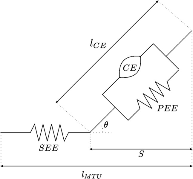 Optimum trajectory learning in musculoskeletal systems with model predictive control and deep reinforcement learning.