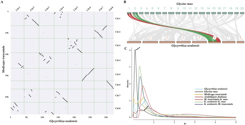 Chromosome-scale genome assembly of Glycyrrhiza uralensis revealed metabolic gene cluster centred specialized metabolites biosynthesis.