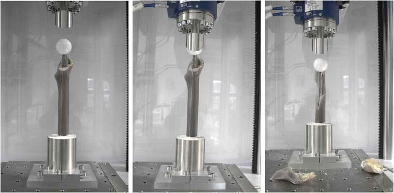 Biomechanical testing of different fixation techniques for intraoperative proximal femur fractures: a technical note.