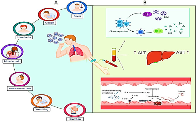 The correlation between IgM and IgG antibodies with blood profile in patients infected with severe acute respiratory syndrome coronavirus.