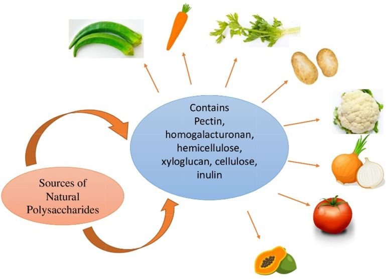 Polysaccharides Obtained from Vegetables: an effective source of alternative excipient.