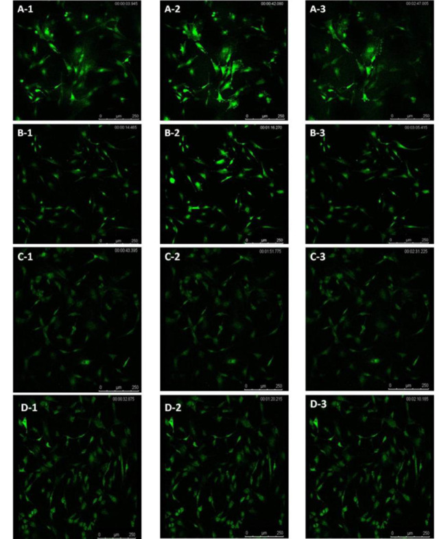 Icariin Exerts Estrogen-Like Actions on Proliferation of Osteoblasts in Vitro via Membrane Estrogen Receptors-Mediated Non-nuclear Effects.