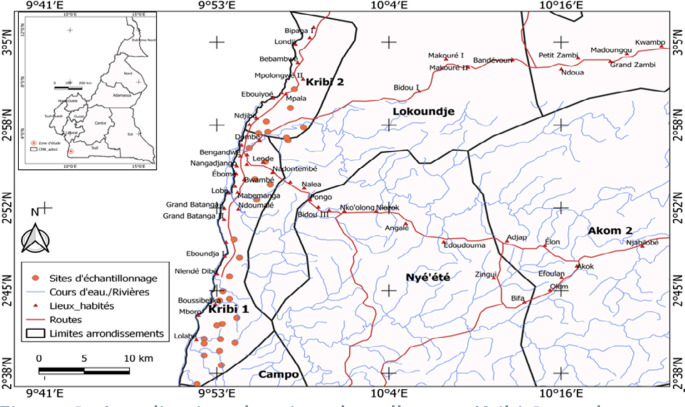 [<i>Anopheles gambiae</i> s.l. larval habitats and resistance mechanisms in Kribi, Cameroon].