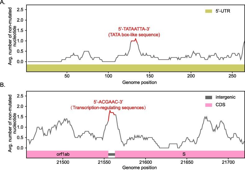 “Mutation blacklist” and “mutation whitelist” of SARS-CoV-2