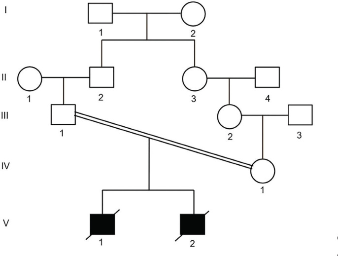 Use of expanded carrier screening for retrospective diagnosis of two deceased siblings with Van Maldergem syndrome 2: case report.