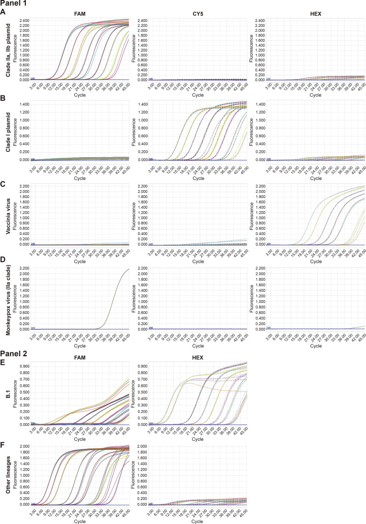 Development of two multiplex real-time PCR assays for simultaneous detection and differentiation of monkeypox virus IIa, IIb, and I clades and the B.1 lineage