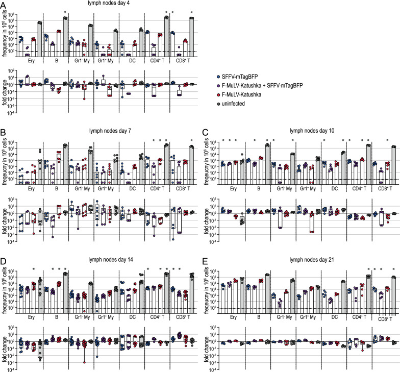 A detailed analysis of F-MuLV- and SFFV-infected cells in Friend virus-infected mice reveals the contribution of both F-MuLV- and SFFV-infected cells to the interleukin-10 host response.