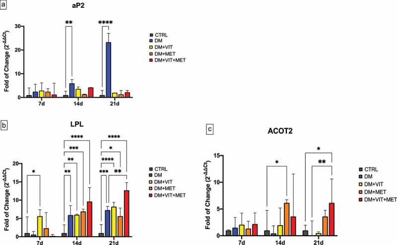 Metformin and vitamin D modulate adipose-derived stem cell differentiation towards the beige phenotype.