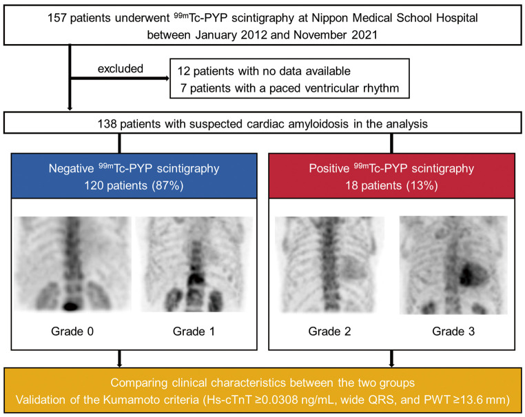 External Validation of the Kumamoto Criteria in Transthyretin Amyloid Cardiomyopathy Screening　- A Retrospective Cohort Study.