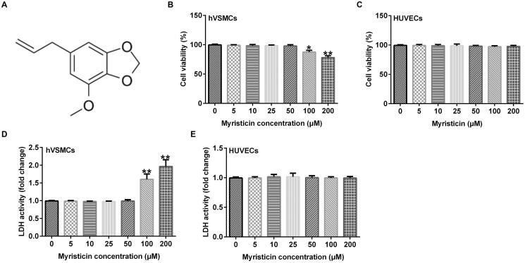 Myristicin regulates proliferation and apoptosis in oxidized low-density lipoprotein-stimulated human vascular smooth muscle cells and human umbilical vein endothelial cells by regulating the PI3K/Akt/NF-κB signalling pathway.