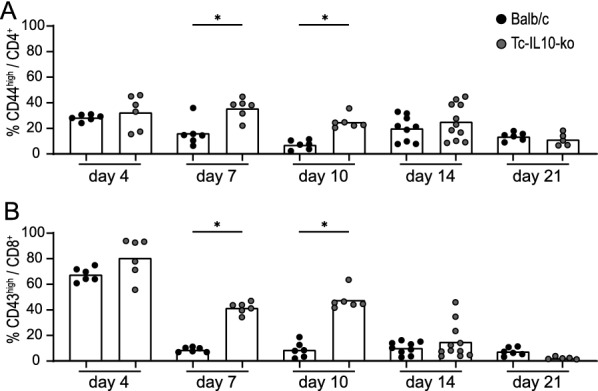 A detailed analysis of F-MuLV- and SFFV-infected cells in Friend virus-infected mice reveals the contribution of both F-MuLV- and SFFV-infected cells to the interleukin-10 host response.