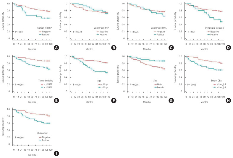 FSP-1 expression in cancer cells is relevant to long-term oncological outcomes in nonmetastatic colorectal cancer.