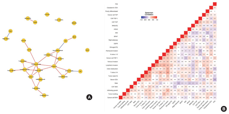 FSP-1 expression in cancer cells is relevant to long-term oncological outcomes in nonmetastatic colorectal cancer.