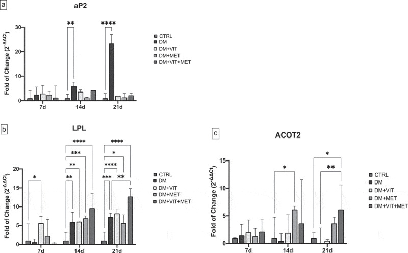 Metformin and vitamin D modulate adipose-derived stem cell differentiation towards the beige phenotype.