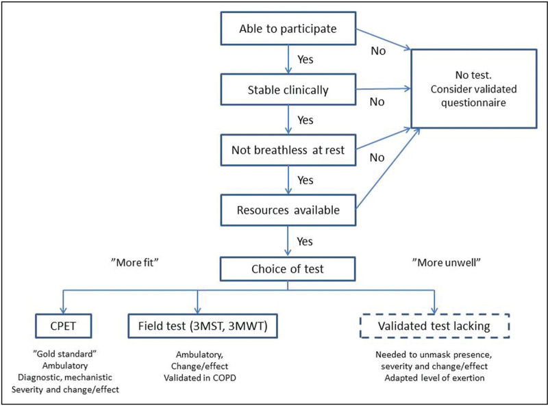 Tests to uncover and assess breathlessness: a proposed framework.