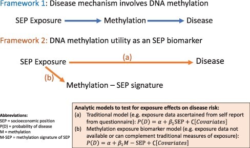 DNA methylation signatures as biomarkers of socioeconomic position.