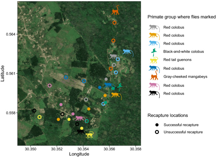 The Movement of Pathogen Carrying Flies at the Human-Wildlife Interface.