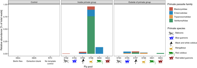 The Movement of Pathogen Carrying Flies at the Human-Wildlife Interface.