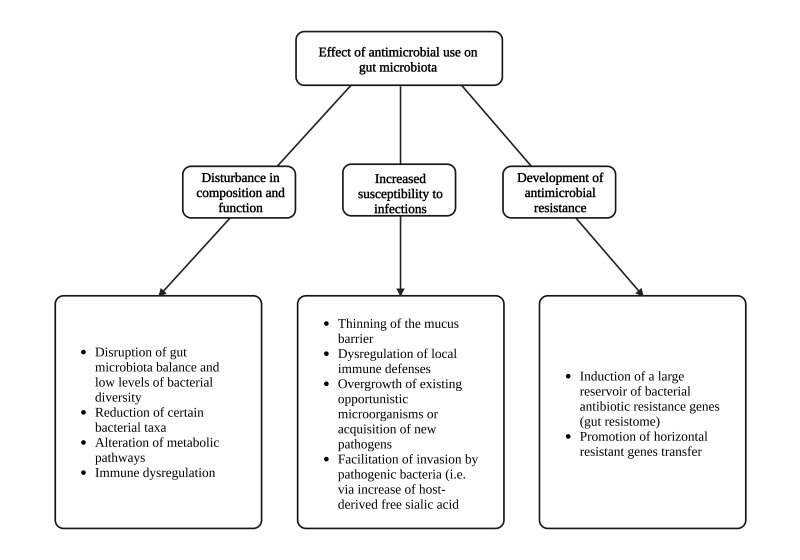 Gut Microbiota Modulation and Prevention of Dysbiosis as an Alternative Approach to Antimicrobial Resistance: A Narrative Review.