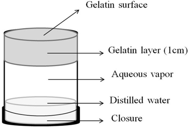 Investigating the Changes in Cream Properties Following Topical Application and Their Influence on the Product Efficiency.