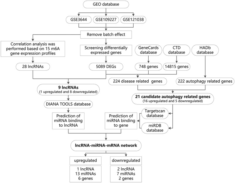 Molecular mechanism analysis of m6A modification-related lncRNA-miRNA-mRNA network in regulating autophagy in acute pancreatitis.