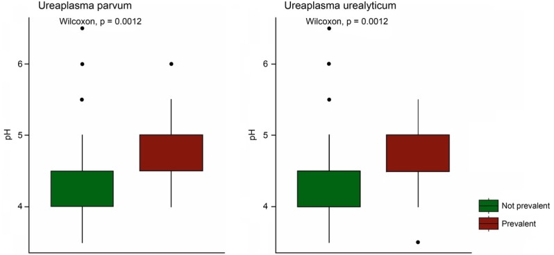 Retrospective Analysis of the <i>Ureaplasma</i> spp. Prevalence with Reference to Other Genital Tract Infections in Women of Reproductive Age.