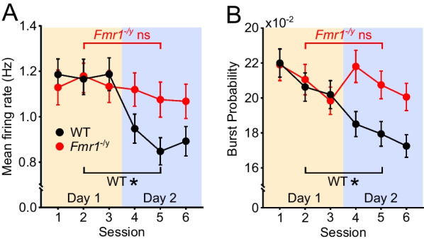 Experience-dependent changes in hippocampal spatial activity and hippocampal circuit function are disrupted in a rat model of Fragile X Syndrome.