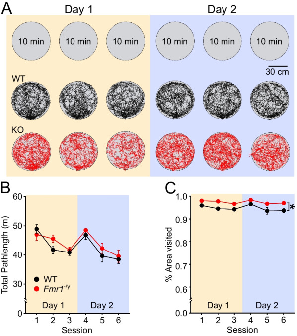 Experience-dependent changes in hippocampal spatial activity and hippocampal circuit function are disrupted in a rat model of Fragile X Syndrome.