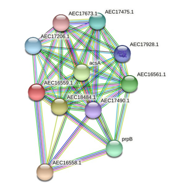 In silico detection and characterization of novel virulence proteins of the emerging poultry pathogen Gallibacterium anatis.