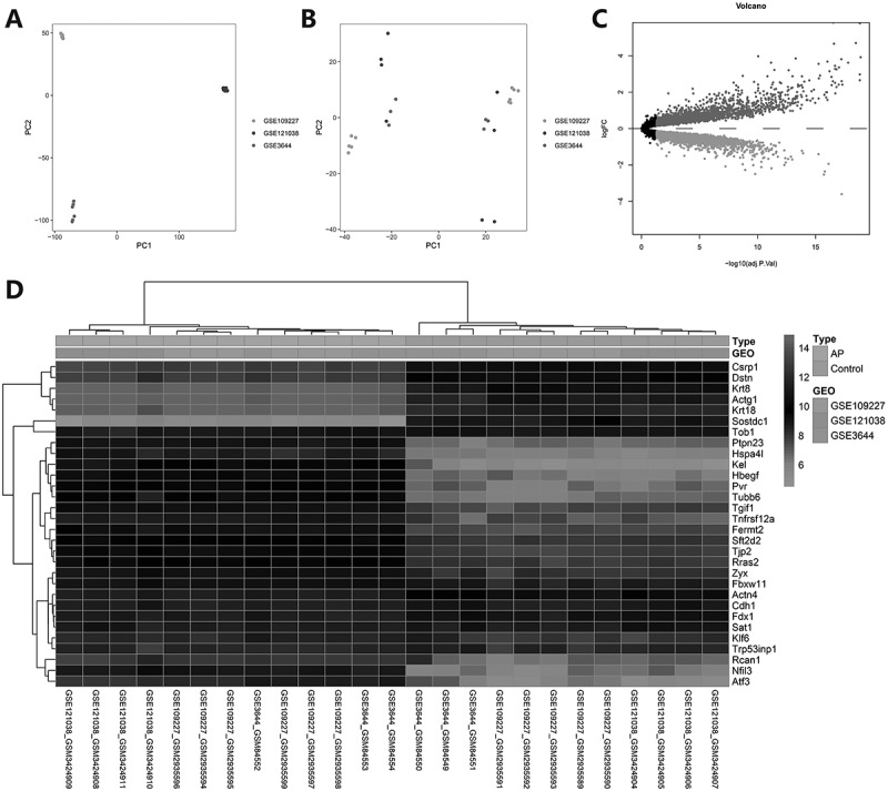 Molecular mechanism analysis of m6A modification-related lncRNA-miRNA-mRNA network in regulating autophagy in acute pancreatitis.