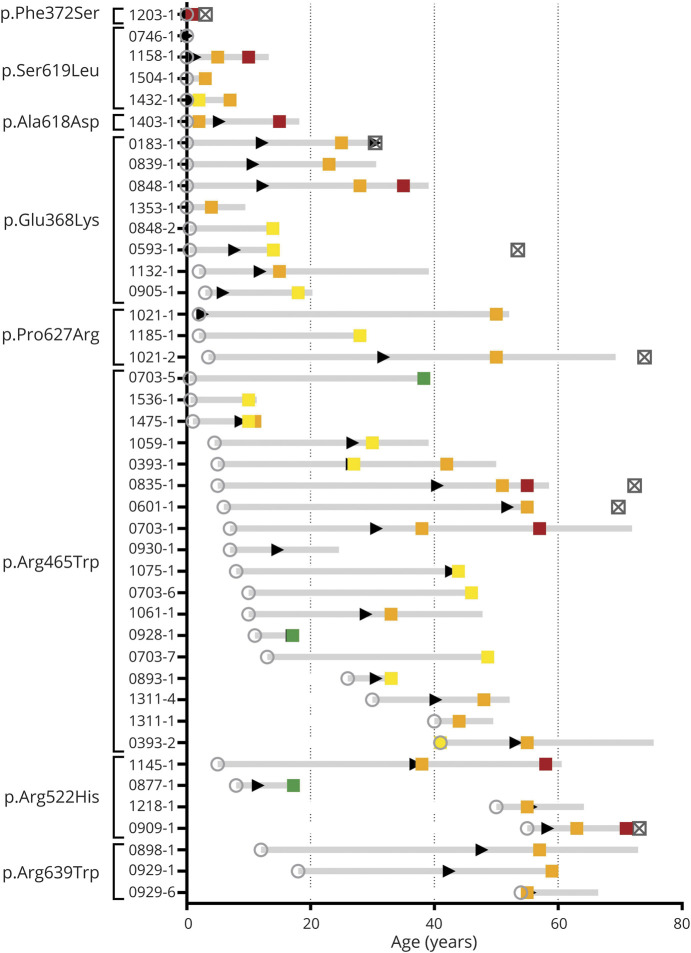 Phenotypic Spectrum of <i>DNM2</i>-Related Centronuclear Myopathy.