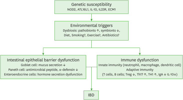 Microbial Modulation in Inflammatory Bowel Diseases.