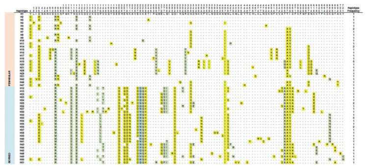 Genetic Diversity and Clustering of the Rhoptry Associated Protein-1 of Plasmodium knowlesi from Peninsular Malaysia and Malaysian Borneo.