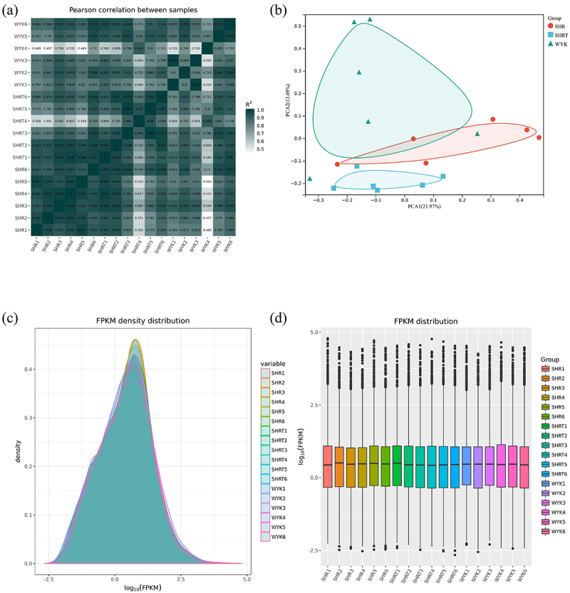 The effect of trimethylamine N-oxide on the metabolism of visceral white adipose tissue in spontaneously hypertensive rat.