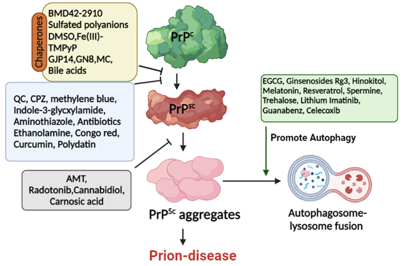 Prion therapeutics: Lessons from the past.